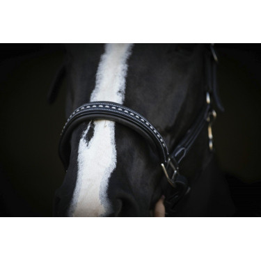 Licol cuir Pénélope Point Sellier Noir Licol cuir Pénélope Point Sellier Noir