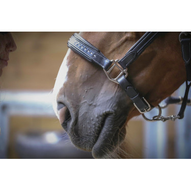 Licol cuir Pénélope Point Sellier Noir Licol cuir Pénélope Point Sellier Noir
