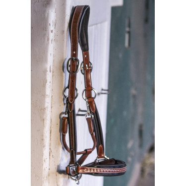 Licol cuir Pénélope Point Sellier Licol cuir Pénélope Point Sellier