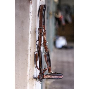 Licol cuir Pénélope Point Sellier Licol cuir Pénélope Point Sellier