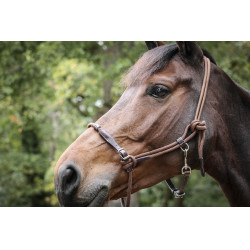 Licol Pénélope Éthologique Havane Marron Licol Pénélope Éthologique Havane Marron