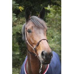 Licol Pénélope Éthologique Havane Marron Licol Pénélope Éthologique Havane Marron