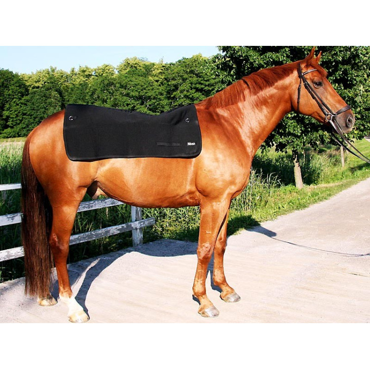 Chauffe dos Back on Track Chauffe dos Back on Track