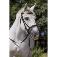 Bridon Excelsior Cheval de Trait Noir Bridon Excelsior Cheval de Trait Noir