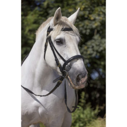 Bridon Excelsior Cheval de Trait Noir Bridon Excelsior Cheval de Trait Noir