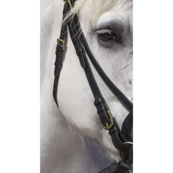 Bridon Excelsior Cheval de Trait Noir Bridon Excelsior Cheval de Trait Noir
