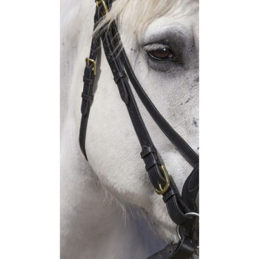 Bridon Excelsior Cheval de Trait Noir Bridon Excelsior Cheval de Trait Noir