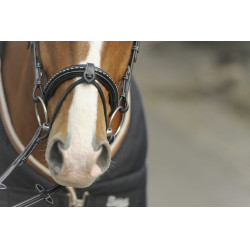Bridon Pénélope Point Sellier Noir