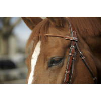 Bridon Pénélope Point Sellier Havane Bridon Pénélope Point Sellier Havane