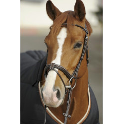 Bridon Pénélope Point Sellier Havane Marron