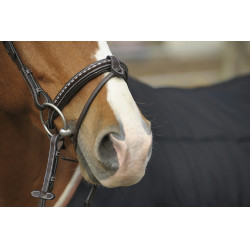 Bridon Pénélope Point Sellier Havane Marron