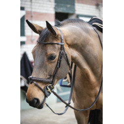 Bridon Pénélope Point Sellier Havane Marron