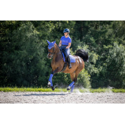 Tapis LeMieux Suede Dressage Square Bluebell Bleu Tapis LeMieux Suede Dressage Square Bluebell Bleu
