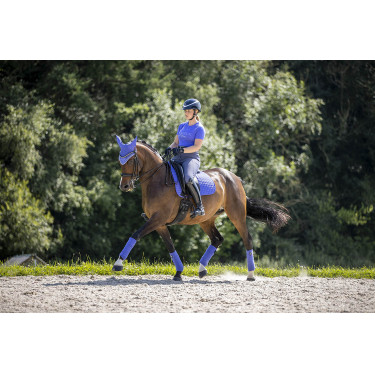 Tapis LeMieux Suede Dressage Square Bluebell Bleu Tapis LeMieux Suede Dressage Square Bluebell Bleu