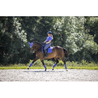 Tapis LeMieux Suede Dressage Square Bluebell Bleu Tapis LeMieux Suede Dressage Square Bluebell Bleu