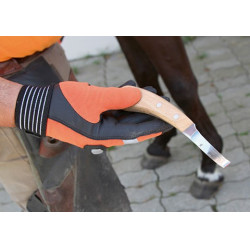 RENETTE PRO COUPE A DROITE