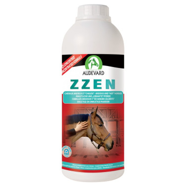 Zzen Audevard Zzen Audevard