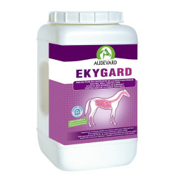 Ekygard Audevard