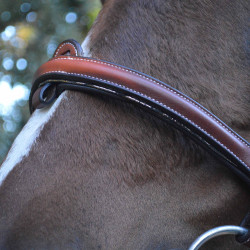 Bridon Flags & Cup Doha Marron