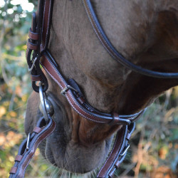 Bridon Flags & Cup Doha Marron