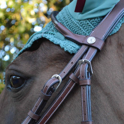 Bridon Flags & Cup Doha Marron