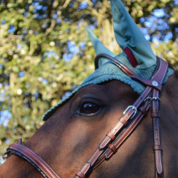 Bridon Flags & Cup Doha Marron