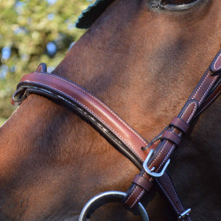 Bridon Flags & Cup Doha Marron