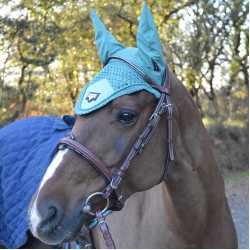 Bridon Flags & Cup Doha Marron