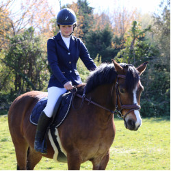 Bridon Flags & Cup Comfort combiné Marron