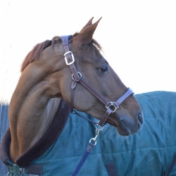 Licol cuir Flags & Cup PARIS Marron / marine