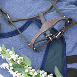 Licol cuir Flags & Cup PARIS Marron / marine