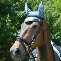 Bridon Canter Black strass Noir Bridon Canter Black strass Noir