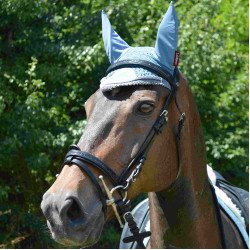 Bridon Canter Black strass Bridon Canter Black strass