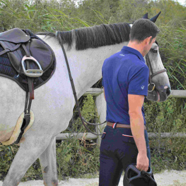 Polo LeMieux Monsieur Polo LeMieux Monsieur