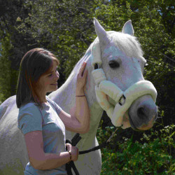 Licol de Transport Flags & Cup Naturel Marron