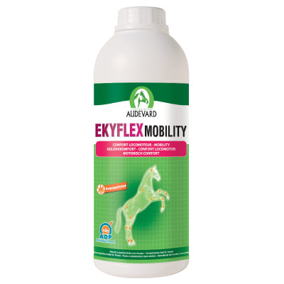 EKYFLEX MOBILITY