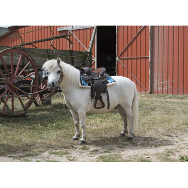 Selle Western Westride Topeka Selle Western Westride Topeka