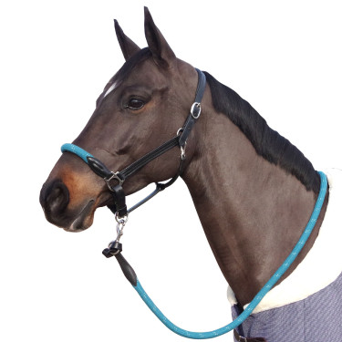 Licol corde Canter boucles blanches Licol corde Canter boucles blanches