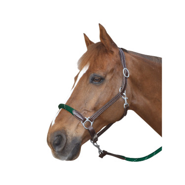 Licol corde Canter boucles blanches Licol corde Canter boucles blanches