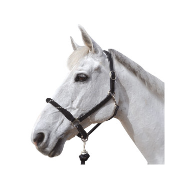 Licol corde Canter boucles blanches Licol corde Canter boucles blanches
