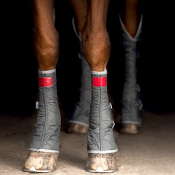 Guêtres magnétiques basses Equilibrium Gris Guêtres magnétiques basses Equilibrium Gris