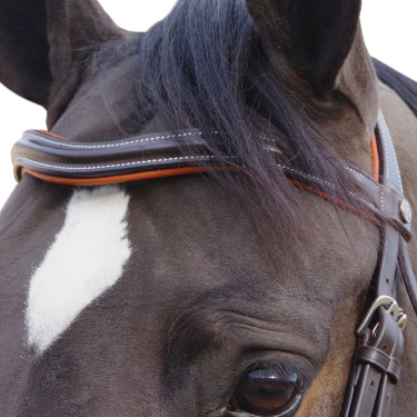 Bridon Canter Alme Bridon Canter Alme