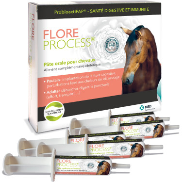 Flore Process M.S.D. Flore Process M.S.D.