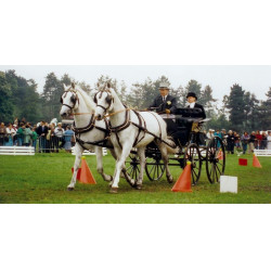 Jeu de cônes et balles d'attelage La Gée