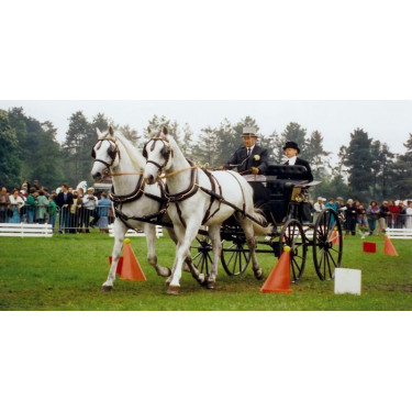 Jeu de cônes et balles d'attelage La Gée Jeu de cônes et balles d'attelage La Gée