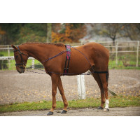 Enrênement à poulies Norton Enrênement à poulies Norton