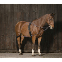 Enrênement à poulies Norton Enrênement à poulies Norton