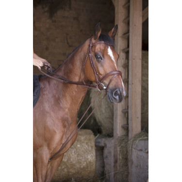 Rênes allemande cuir / corde Norton Pro Havane Marron