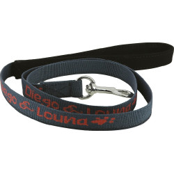 Laisse nylon Diego & Louna pour chien Anthracite Gris Laisse nylon Diego & Louna pour chien Anthracite Gris