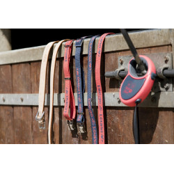 Laisse nylon Diego & Louna pour chien Laisse nylon Diego & Louna pour chien